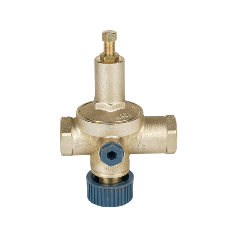 进口气囊式膨胀罐